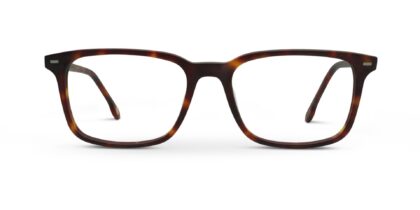 TODD in ECLIPSE TORTOISE